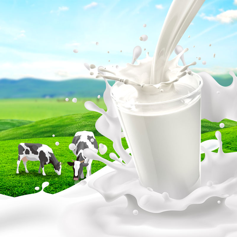 β-Lactams + Tetracyclines + Sulfonamides Rapid Test Strip