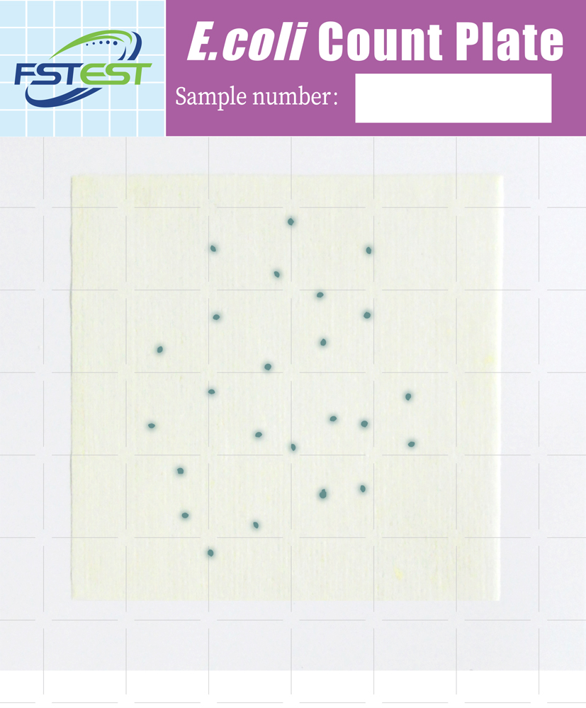 E. coli Count Plate