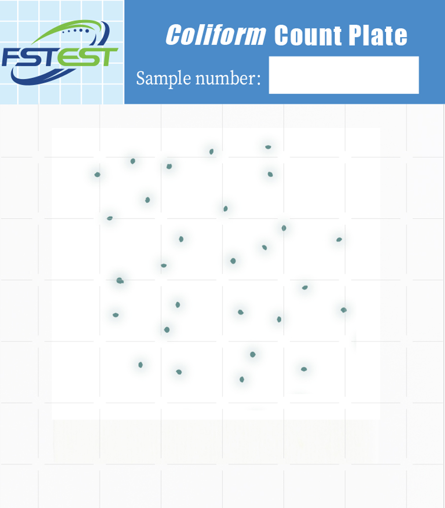<i>Coliform</i>  Count Plate