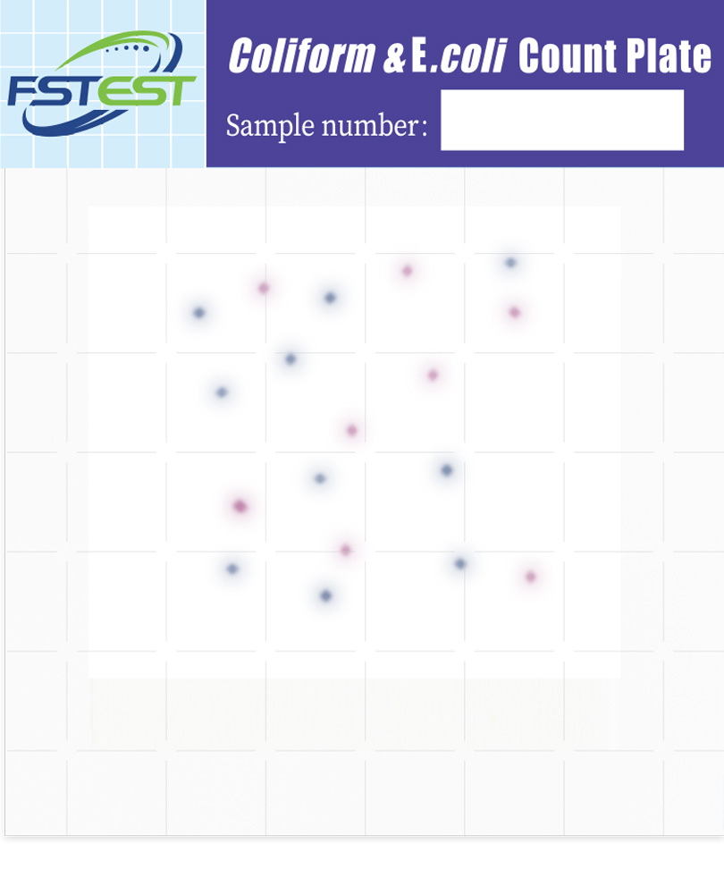 <i>Coliform &</i> E.<i>coil</i> Count Plate