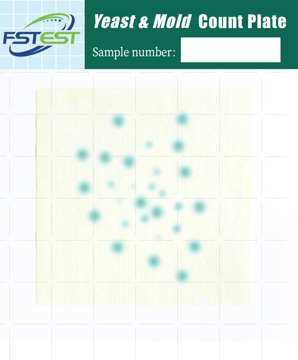<i>Yeast </i>& <i>Mold</i> Count Plate