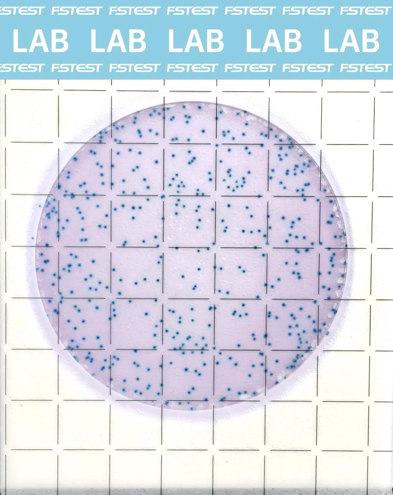 Lactic Acid Bacteria Count Plate (Gel-type)